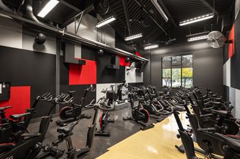Weights & cycle room at erie recreation center
